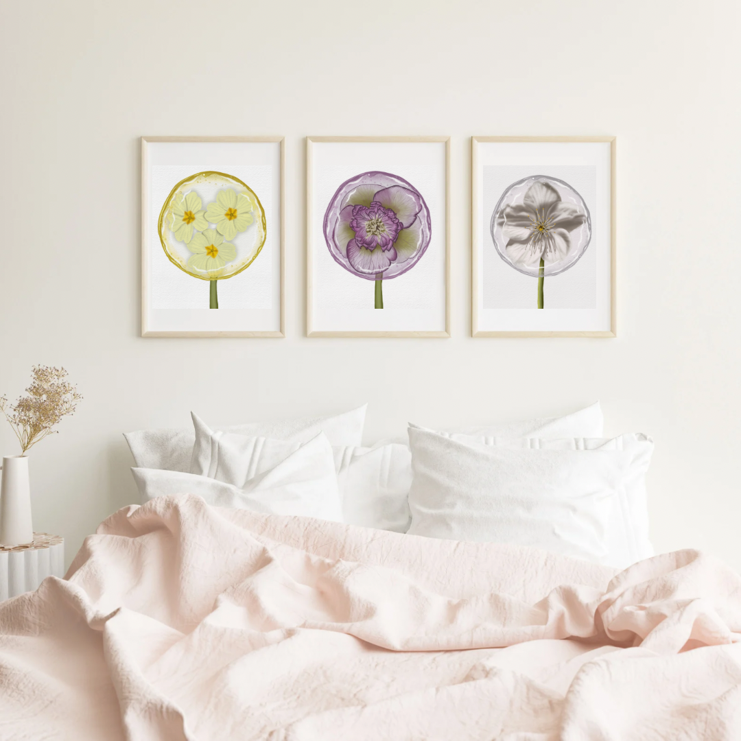 Primrose Lollipop Art Print