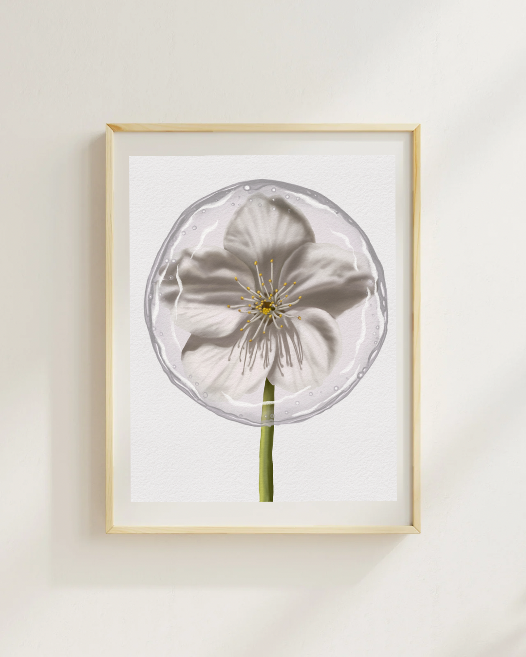 Cherry Blossom Lollipop Art Print