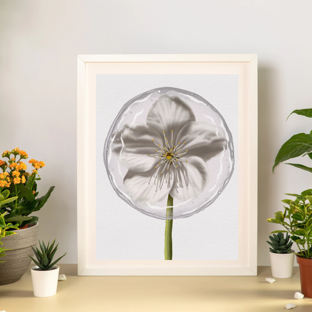 Cherry Blossom Lollipop Art Print