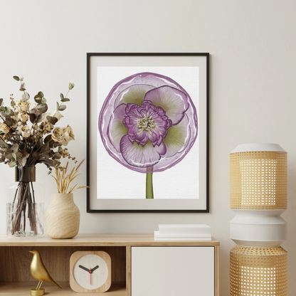 Hellebore Lollipop Art Print